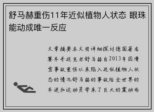 舒马赫重伤11年近似植物人状态 眼珠能动成唯一反应