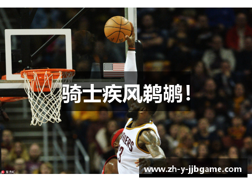 骑士疾风鹈鹕！