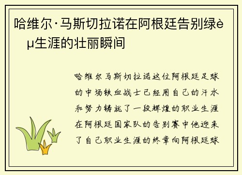 哈维尔·马斯切拉诺在阿根廷告别绿茵生涯的壮丽瞬间 哈维尔·马斯切拉诺在阿根廷告别绿茵生涯的壮丽瞬间